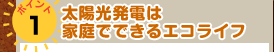 ポイント1 太陽光発電は家庭でできるエコライフ